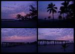 (01) blue dawn montage (day 5 - backup).jpg    (1000x720)    288 KB                              click to see enlarged picture